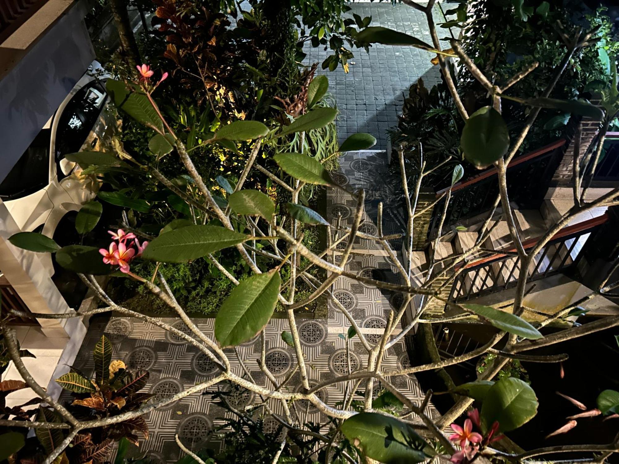 Balimas Guest House Ubud  Exterior photo